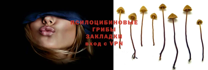 скорость Карталы