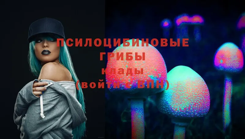 Псилоцибиновые грибы Psilocybine cubensis  MEGA зеркало  Невинномысск 