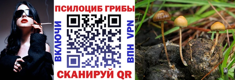 Псилоцибиновые грибы MAGIC MUSHROOMS  Невинномысск 