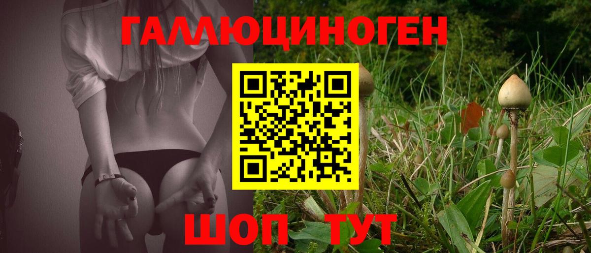 Галлюциногенные грибы ЛСД  даркнет сайт  Невинномысск  Вход с VPN 